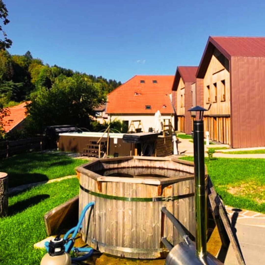 Logis Hotel Altitude Et Spa Pierre-Percée Kültér fotó